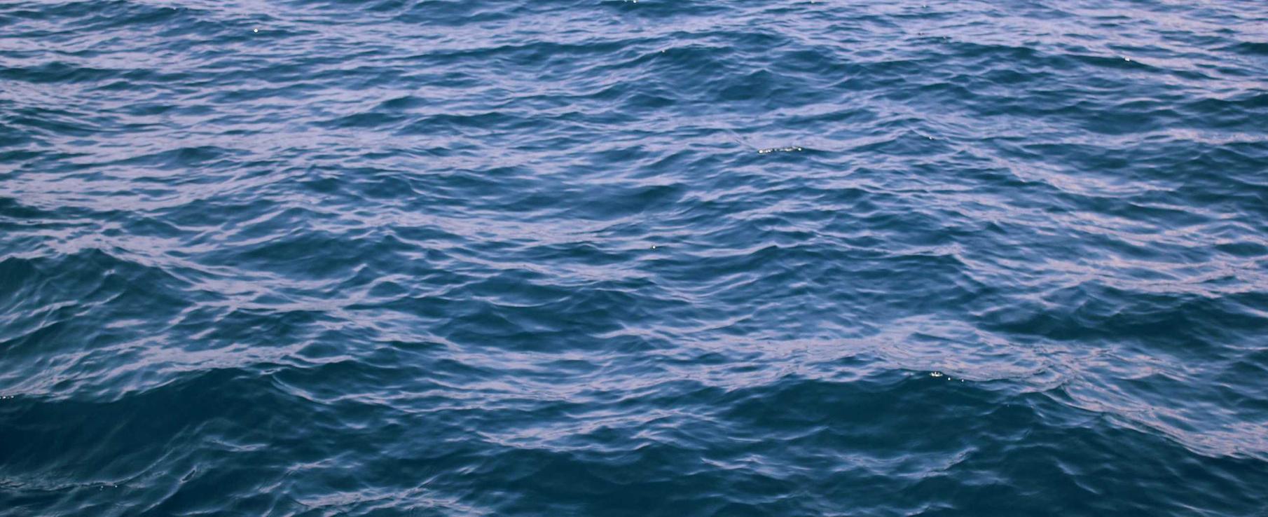 DDOS攻击器|兰花直购买平台