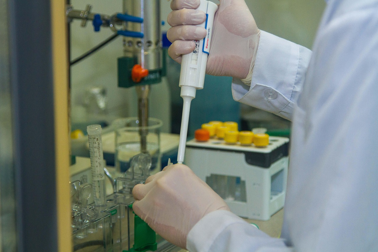 蓝猫移动实名账号：购买文章的平台