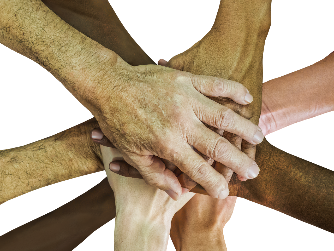 阿凡提香蕉:海淀代理申报平台