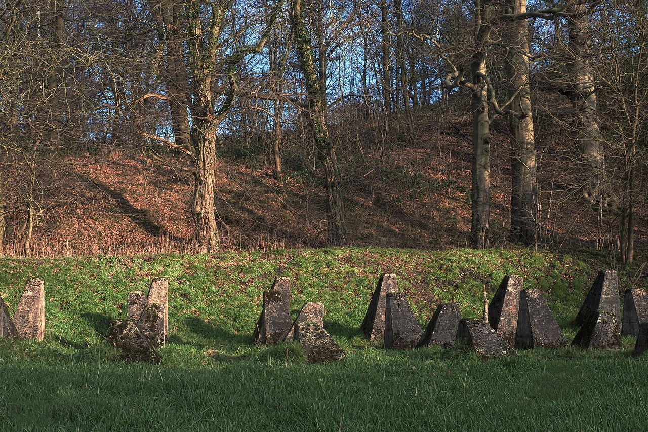 天津招标代理公司注册