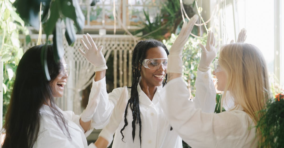 DDOS压力测试|生态城代理注册价格查询