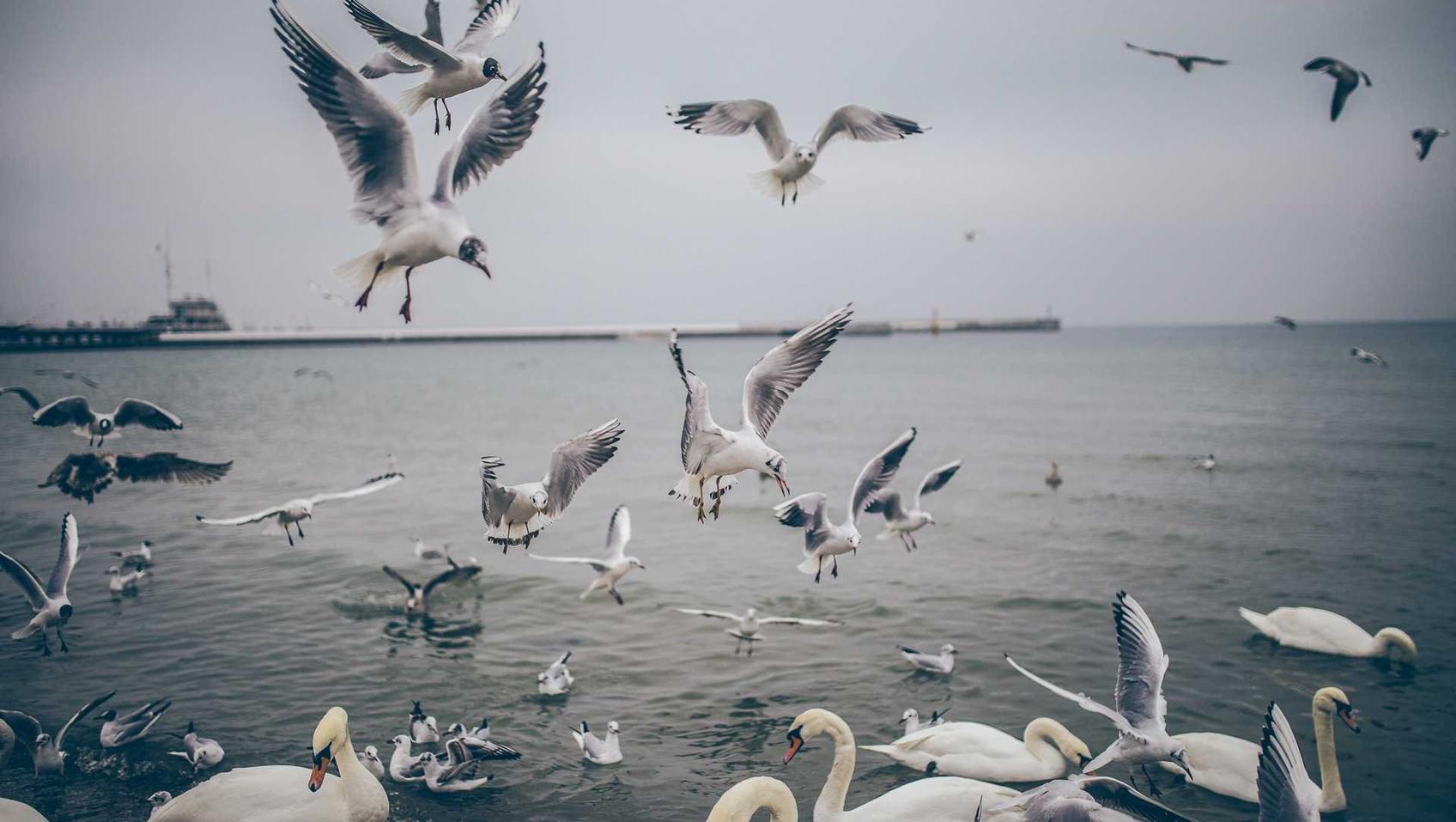 短信营销中的数据分析-如何影响用户行为