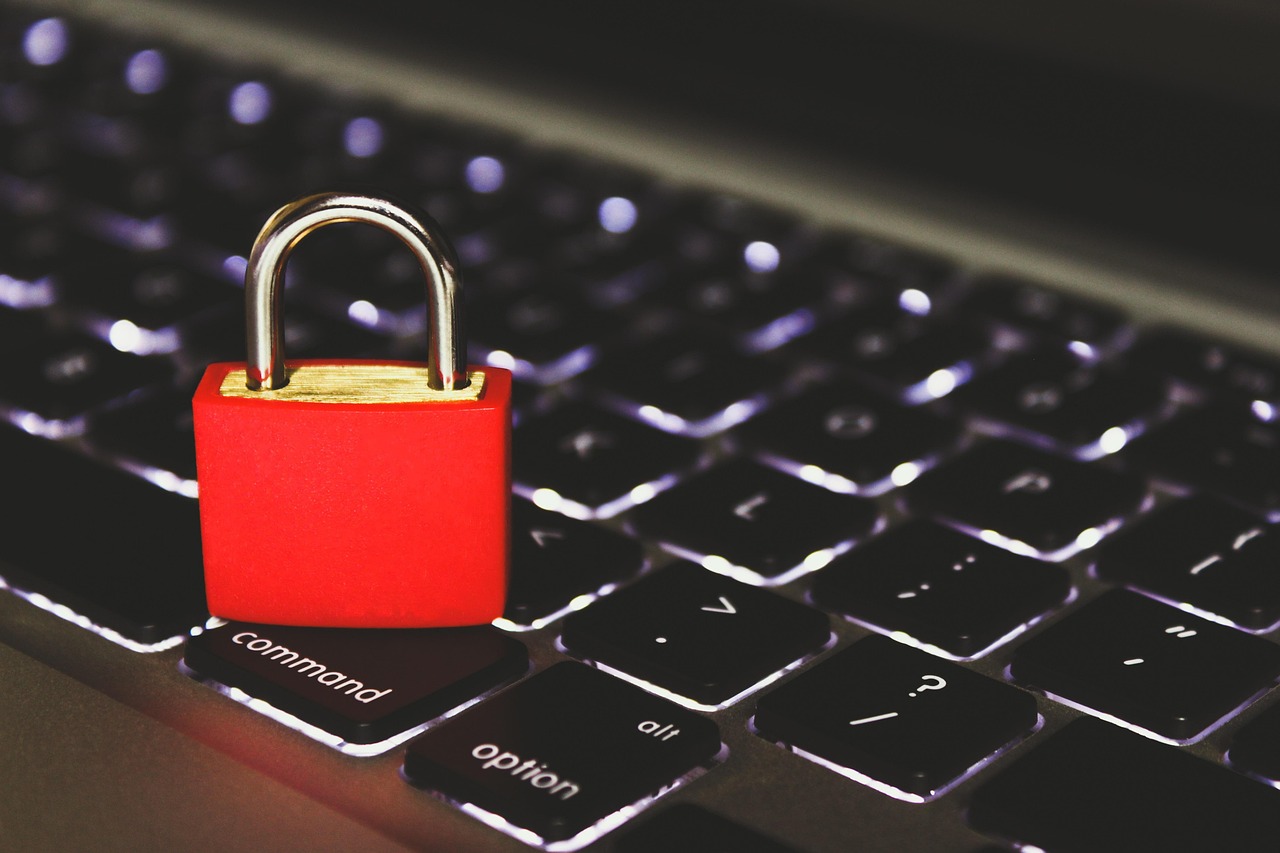 帕斯：烟花网app详情下载教程